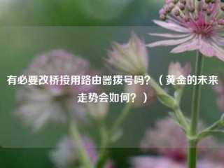 有必要改桥接用路由器拨号吗？（黄金的未来走势会如何？）