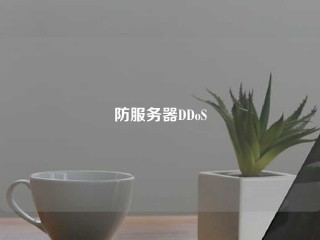 防服务器DDoS