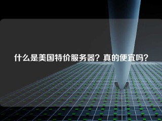 什么是美国特价服务器？真的便宜吗？