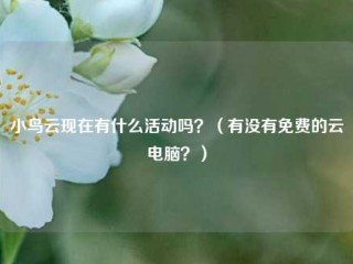 小鸟云现在有什么活动吗？（有没有免费的云电脑？）