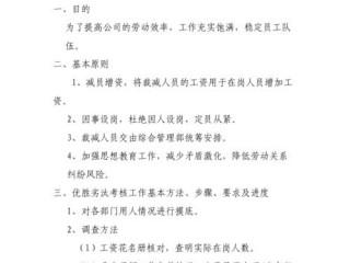 减员增效人员优化方案？（网站优化方案怎么写,减员增效人员优化方案怎么写）