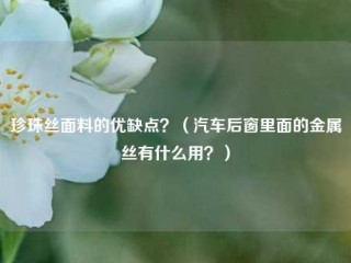 珍珠丝面料的优缺点？（汽车后窗里面的金属丝有什么用？）