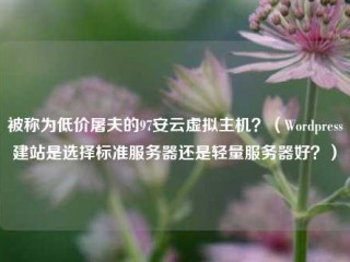 被称为低价屠夫的97安云虚拟主机？（Wordpress建站是选择标准服务器还是轻量服务器好？）