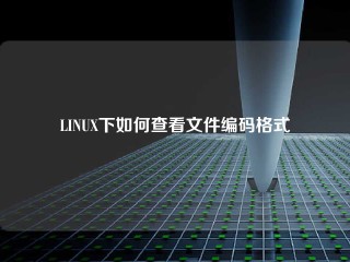 LINUX下如何查看文件编码格式