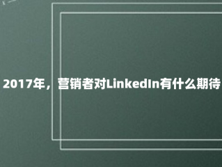 2017年，营销者对LinkedIn有什么期待