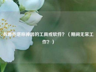 有哪些堪称神器的工具或软件？（期间无常工作？）