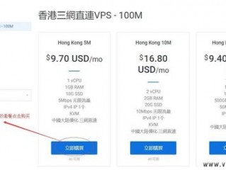 外国大宽带vps租用怎么选择便宜
