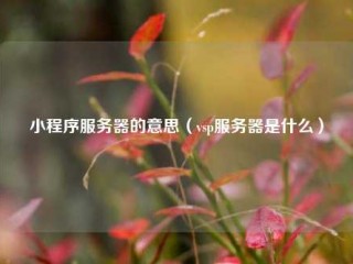 小程序服务器的意思（vsp服务器是什么）