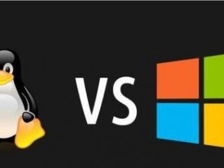 windows哪个服务器系统比较好？（美国云主机租用选Linux还是Windows）