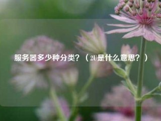 服务器多少种分类？（2U是什么意思？）