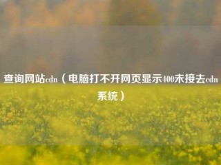 查询网站cdn（电脑打不开网页显示400未接去cdn系统）