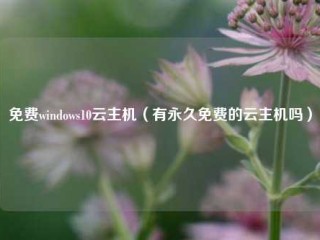 免费windows10云主机（有永久免费的云主机吗）