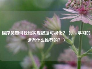 程序员如何轻松实现数据可视化？（Java学习的话有什么推荐的？）