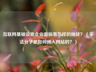 互联网基础设施企业面临着怎样的挑战？（不法分子是如何侵入网站的？）