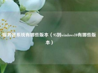 服务器系统有哪些版本（95到windows10有哪些版本）