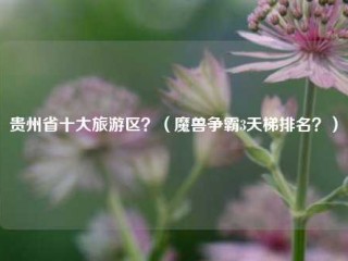 贵州省十大旅游区？（魔兽争霸3天梯排名？）