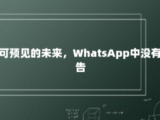 在可预见的未来，WhatsApp中没有广告