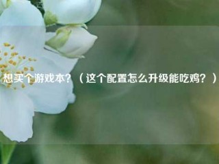 想买个游戏本？（这个配置怎么升级能吃鸡？）