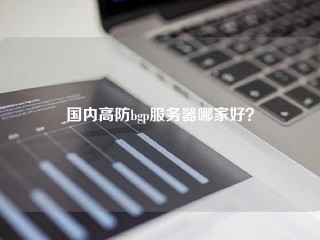 国内高防bgp服务器哪家好？