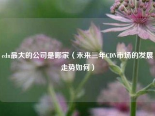 cdn最大的公司是哪家（未来三年CDN市场的发展走势如何）