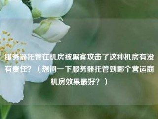 服务器托管在机房被黑客攻击了这种机房有没有责任？(想问一下服务器托管到哪个营运商机房效果最好？)