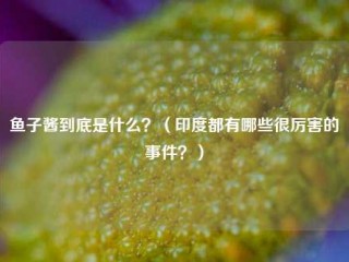 鱼子酱到底是什么？(印度都有哪些很厉害的事件？)