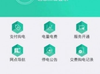 下载国家电网app下载,如何下载国家电网APP