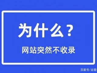 500天未收录ssr要不要用？（最近网站收录的可慢了咋回事呢）