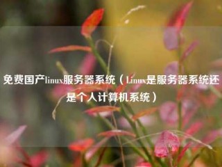 免费国产linux服务器系统（Linux是服务器系统还是个人计算机系统）