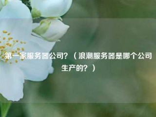 第一家服务器公司？(浪潮服务器是哪个公司生产的？)