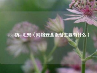 ddos防ip汇聚（网络安全设备主要有什么）