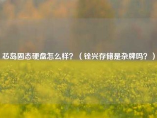 芯岛固态硬盘怎么样？（铨兴存储是杂牌吗？）