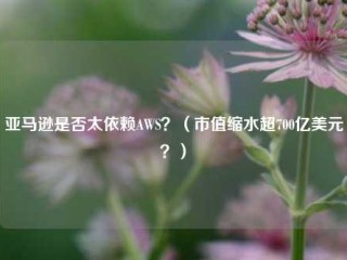 亚马逊是否太依赖AWS？（市值缩水超700亿美元？）