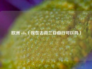 欧洲 cdn（现在去荷兰自由行可以吗）