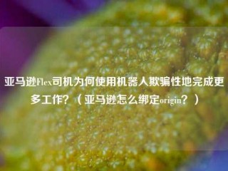 亚马逊Flex司机为何使用机器人欺骗性地完成更多工作？（亚马逊怎么绑定origin？）