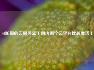 30防御的云服务器（国内哪个云平台比较靠谱）