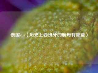 泰国vps（历史上西班牙的航母有哪些）