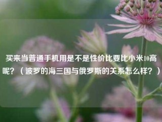 买来当普通手机用是不是性价比要比小米10高呢？（波罗的海三国与俄罗斯的关系怎么样？）