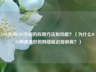 CDN空间CDN空间的应用方法和功能？（为什么WiFi网速很好但网络延迟却很高？）