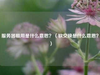 服务器租用是什么意思？（软交换是什么意思？）