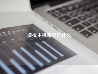 虚拟主机系统选什么