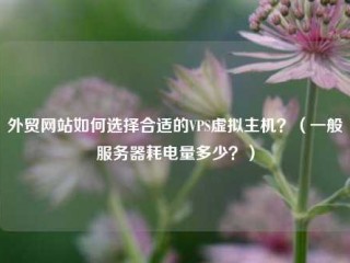 外贸网站如何选择合适的VPS虚拟主机？（一般服务器耗电量多少？）