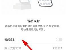 荣耀30智感支付怎么设置？（设置华为支付，华为智感支付怎么使用）