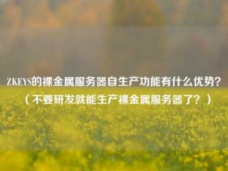 ZKEYS的裸金属服务器自生产功能有什么优势？（不要研发就能生产裸金属服务器了？）