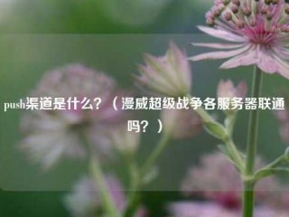 push渠道是什么？（漫威超级战争各服务器联通吗？）