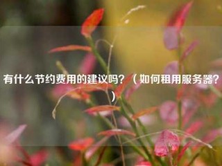 有什么节约费用的建议吗？(如何租用服务器？)