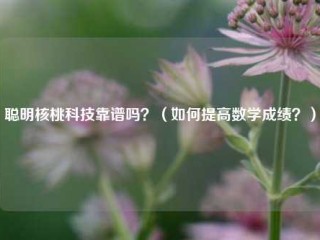 聪明核桃科技靠谱吗？（如何提高数学成绩？）