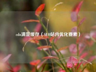 cdn清楚缓存（SEO站内优化要素）