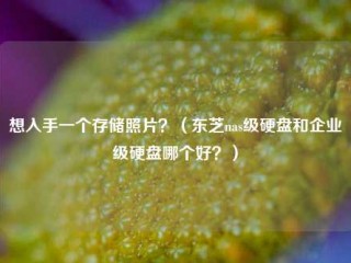 想入手一个存储照片？（东芝nas级硬盘和企业级硬盘哪个好？）