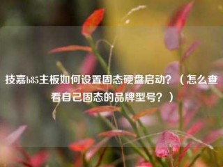 技嘉b85主板如何设置固态硬盘启动？（怎么查看自己固态的品牌型号？）